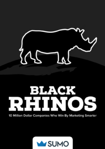 Black Rhinos: Step-By-Step How 10 Companies Made Over $10 Million