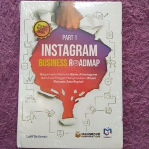 Instagram Business Roadmap